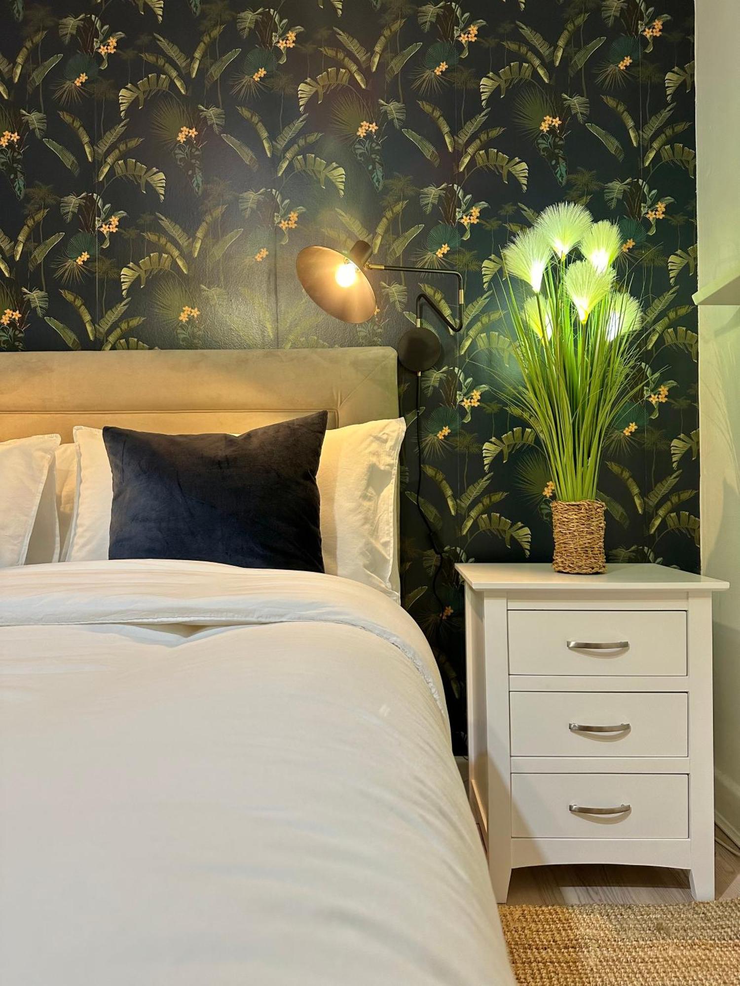 Blush Jungle - Homestay Dublin Exterior foto